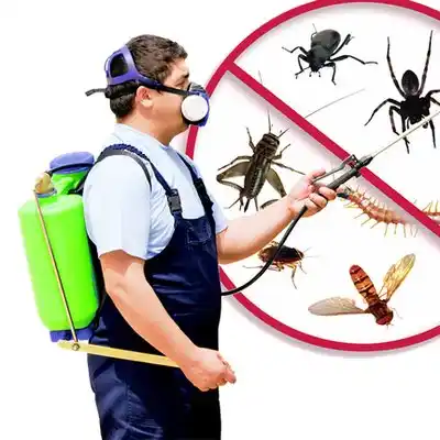 pest control Longport